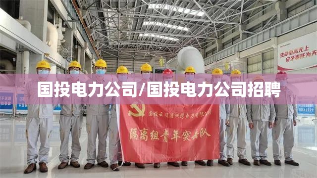 国投电力公司/国投电力公司招聘 国投电力公司/国投电力公司招聘