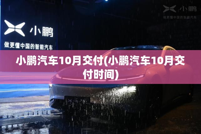 创业好项目/2026创业好项目