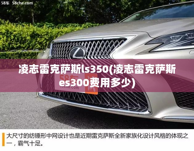 【宁都天气预报40天,宁都天气预报15天】