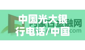 中国光大银行电话/中国光大银行电话信用卡客服 中国光大银行电话/中国光大银行电话信用卡客服