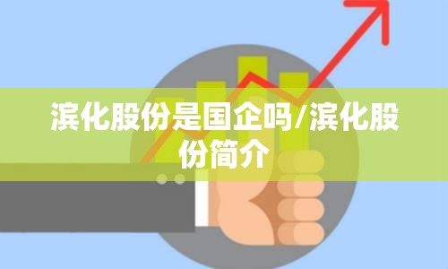滨化股份是国企吗/滨化股份简介 滨化股份是国企吗/滨化股份简介