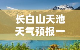 【大疆无人机股票代码,大强无人机股票代码是多少】