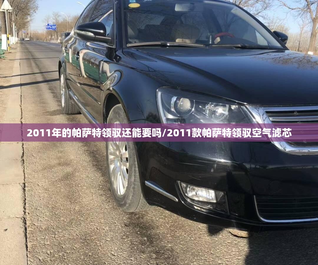 2011年的帕萨特领驭还能要吗/2011款帕萨特领驭空气滤芯 2011年的帕萨特领驭还能要吗/2011款帕萨特领驭空气滤芯