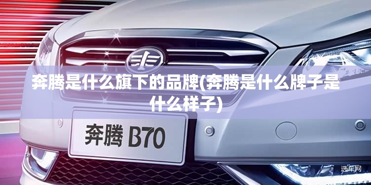 奔腾是什么旗下的品牌(奔腾是什么牌子是什么样子)