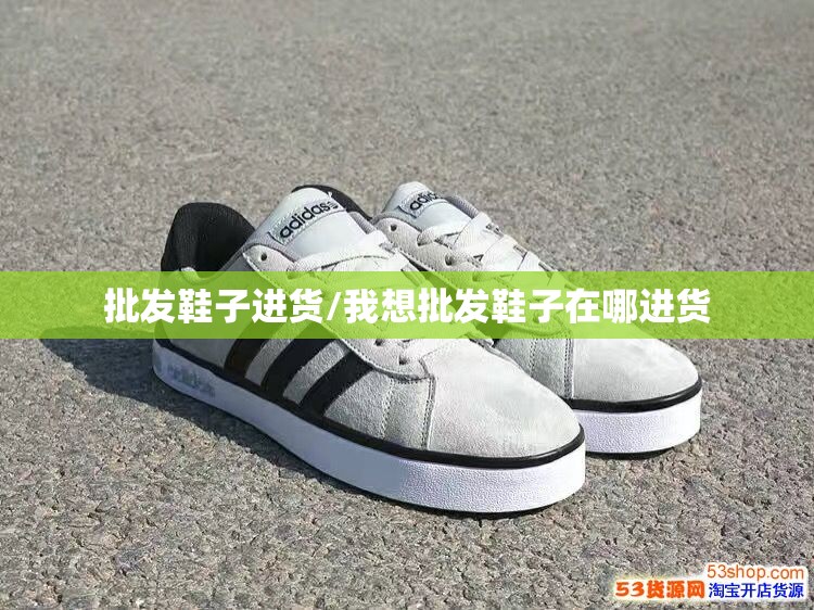 批发鞋子进货/我想批发鞋子在哪进货