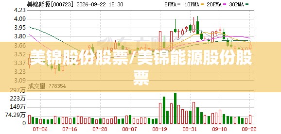 美锦股份股票/美锦能源股份股票