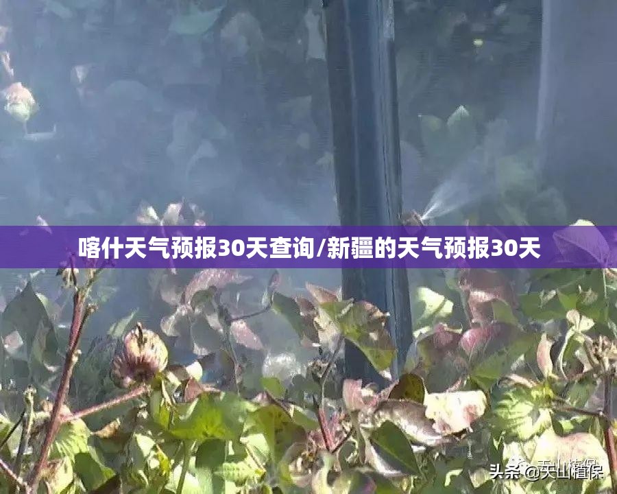 喀什天气预报30天查询/新疆的天气预报30天 喀什天气预报30天查询/新疆的天气预报30天