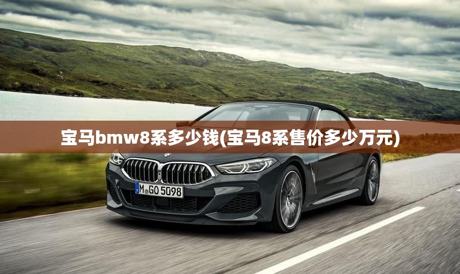 宝马bmw8系多少钱(宝马8系售价多少万元) 宝马bmw8系多少钱(宝马8系售价多少万元)