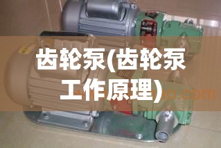 齿轮泵(齿轮泵工作原理) 齿轮泵(齿轮泵工作原理)