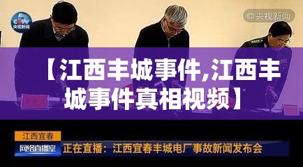 【江西丰城事件,江西丰城事件真相视频】