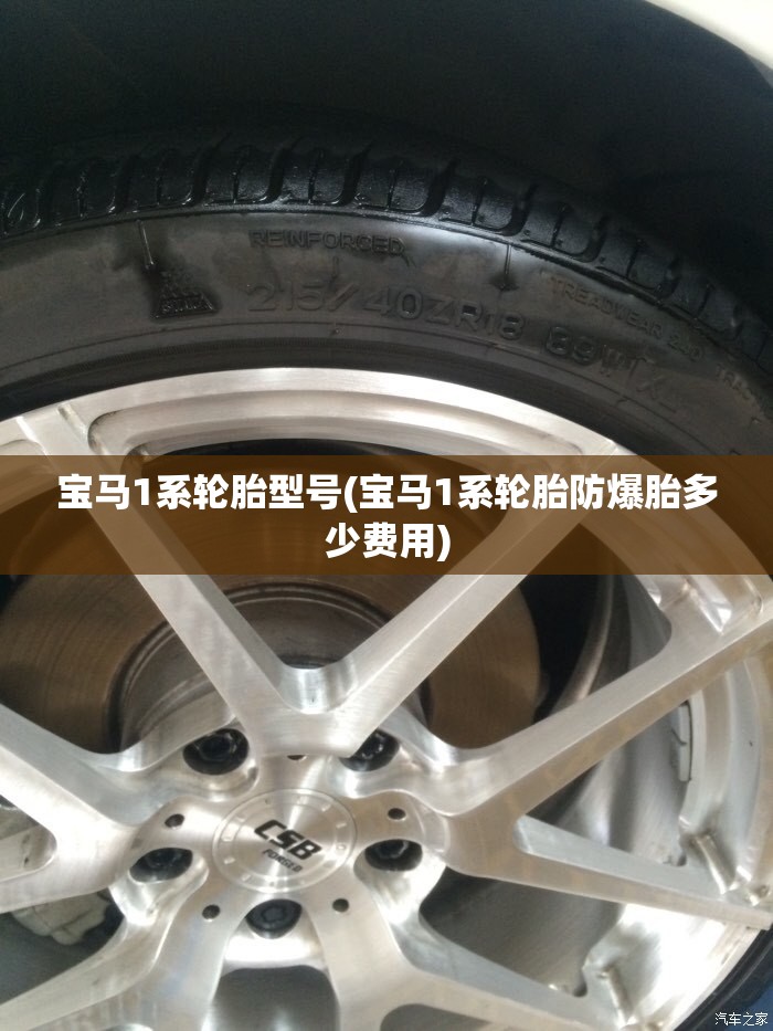 宝马1系轮胎型号(宝马1系轮胎防爆胎多少费用) 宝马1系轮胎型号(宝马1系轮胎防爆胎多少费用)