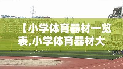 【小学体育器材一览表,小学体育器材大全名称】