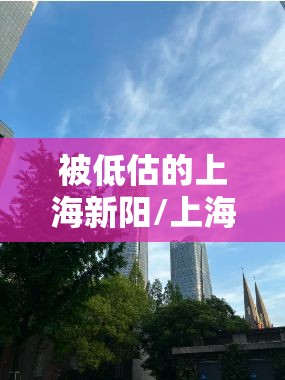 被低估的上海新阳/上海新阳未来潜力