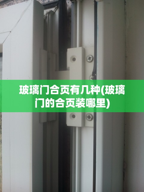 玻璃门合页有几种(玻璃门的合页装哪里)
