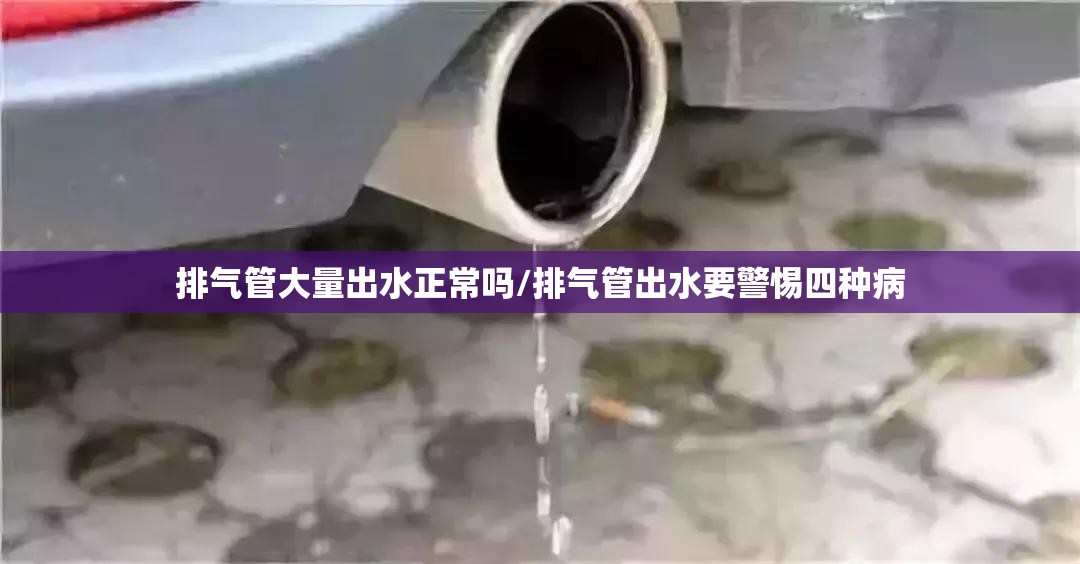 排气管大量出水正常吗/排气管出水要警惕四种病 排气管大量出水正常吗/排气管出水要警惕四种病