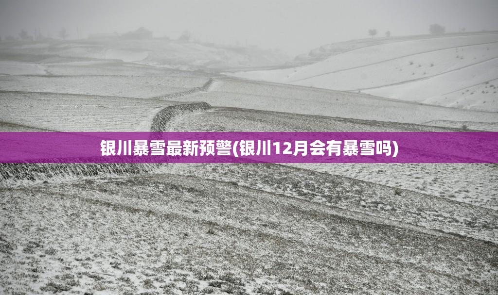 银川暴雪最新预警(银川12月会有暴雪吗)