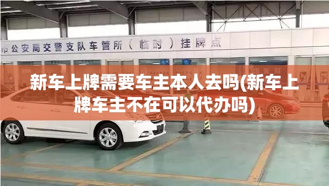 新车上牌需要车主本人去吗(新车上牌车主不在可以代办吗) 新车上牌需要车主本人去吗(新车上牌车主不在可以代办吗)