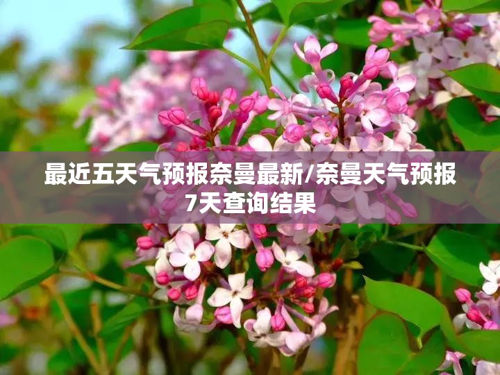 最近五天气预报奈曼最新/奈曼天气预报7天查询结果 最近五天气预报奈曼最新/奈曼天气预报7天查询结果