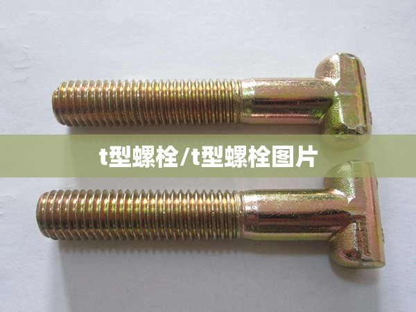 t型螺栓/t型螺栓图片