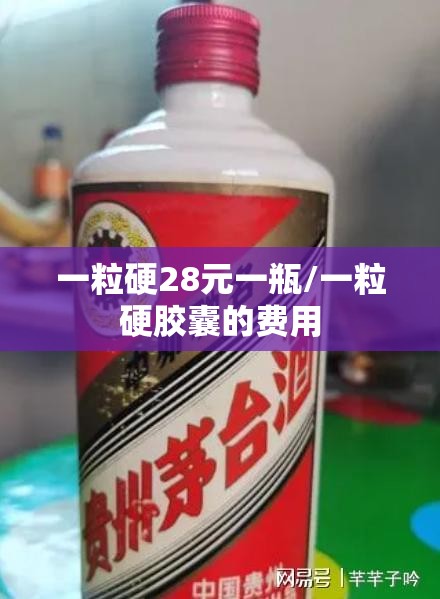 一粒硬28元一瓶/一粒硬胶囊的费用 一粒硬28元一瓶/一粒硬胶囊的费用