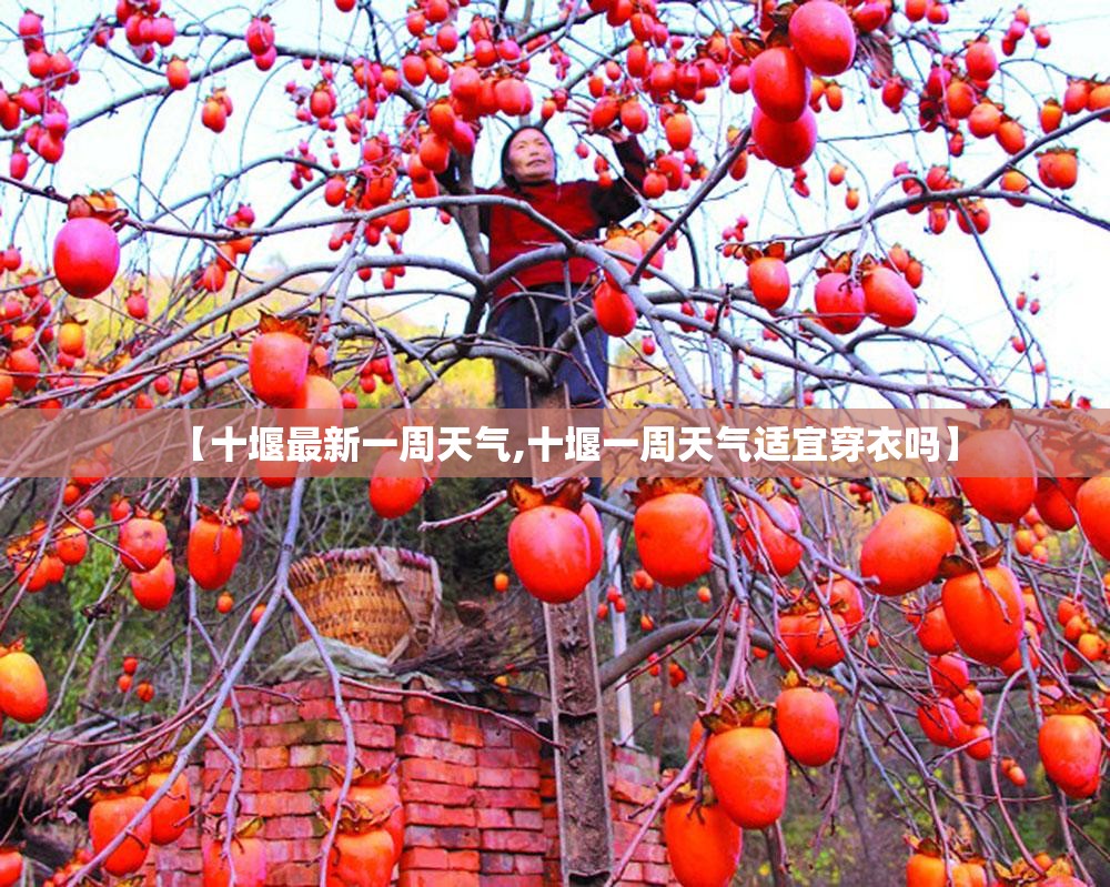 【十堰最新一周天气,十堰一周天气适宜穿衣吗】 【十堰最新一周天气,十堰一周天气适宜穿衣吗】