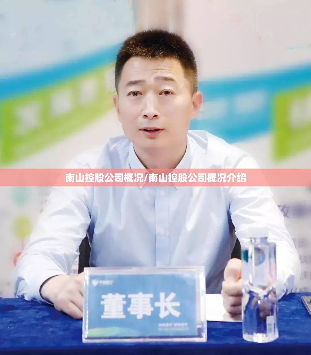 南山控股公司概况/南山控股公司概况介绍