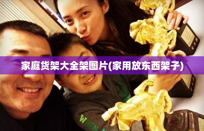 家庭货架大全架图片(家用放东西架子) 家庭货架大全架图片(家用放东西架子)