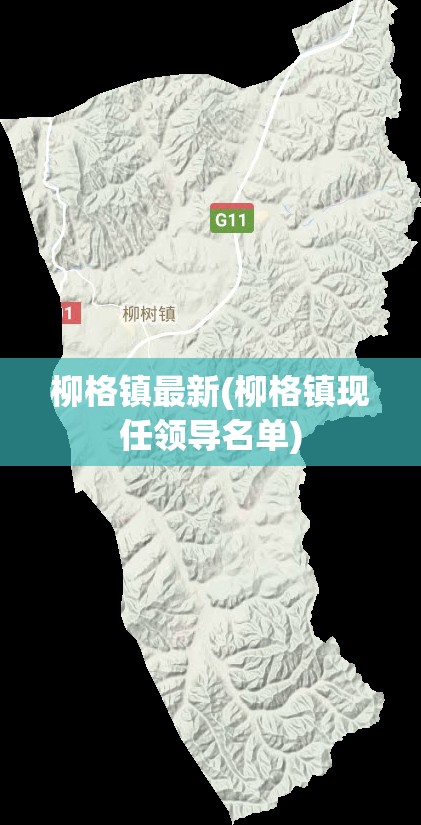 柳格镇最新(柳格镇现任领导名单)