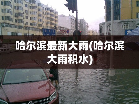哈尔滨最新大雨(哈尔滨大雨积水)