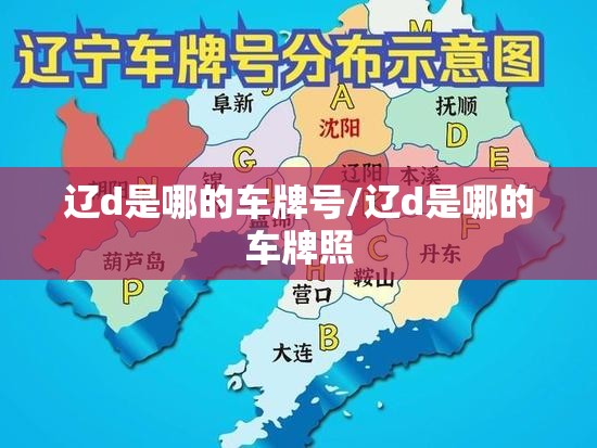 辽d是哪的车牌号/辽d是哪的车牌照 辽d是哪的车牌号/辽d是哪的车牌照