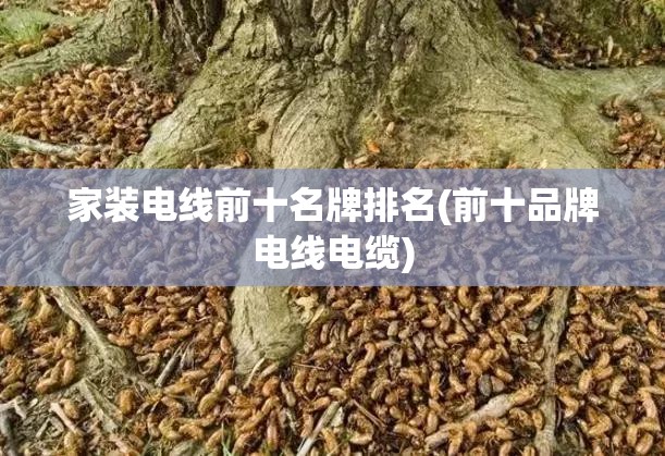 家装电线前十名牌排名(前十品牌电线电缆) 家装电线前十名牌排名(前十品牌电线电缆)