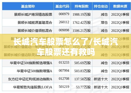 长城汽车股票怎么了/长城汽车股票还有救吗 长城汽车股票怎么了/长城汽车股票还有救吗