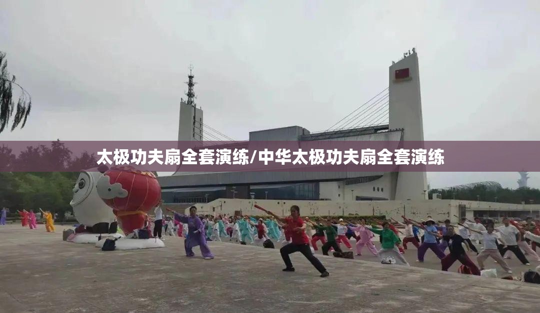 太极功夫扇全套演练/中华太极功夫扇全套演练 太极功夫扇全套演练/中华太极功夫扇全套演练