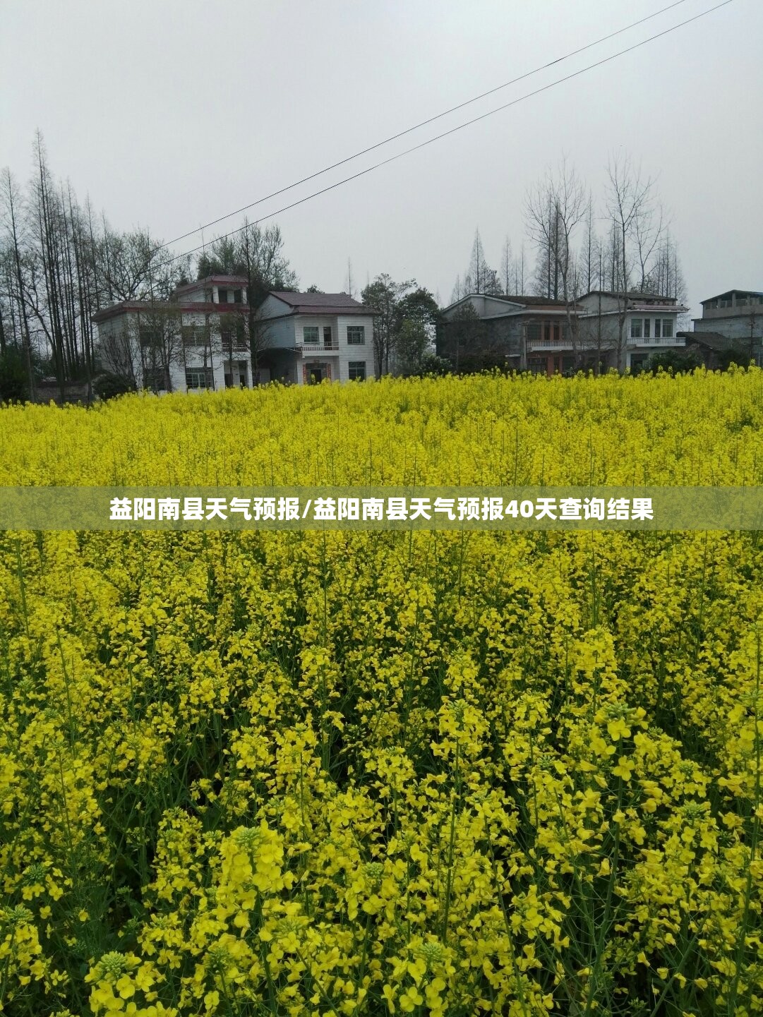益阳南县天气预报/益阳南县天气预报40天查询结果 益阳南县天气预报/益阳南县天气预报40天查询结果