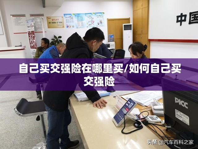 自己买交强险在哪里买/如何自己买交强险 自己买交强险在哪里买/如何自己买交强险