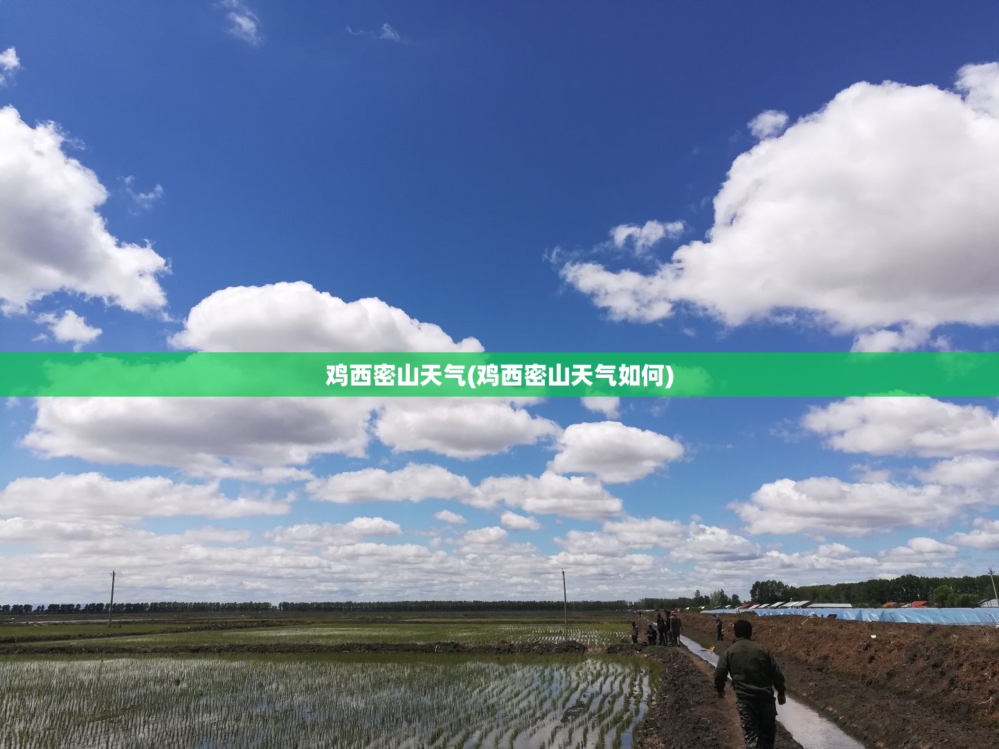 鸡西密山天气(鸡西密山天气如何) 鸡西密山天气(鸡西密山天气如何)
