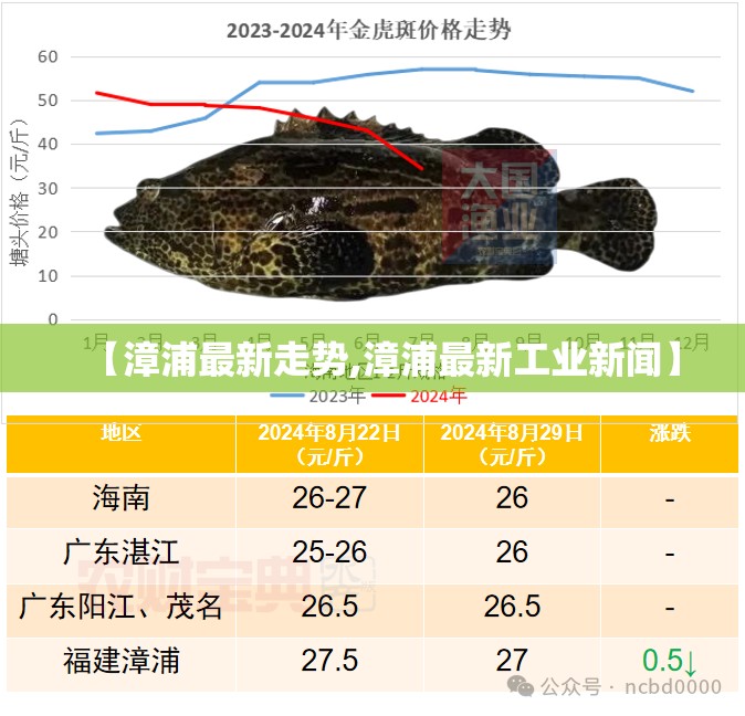 【漳浦最新走势,漳浦最新工业新闻】