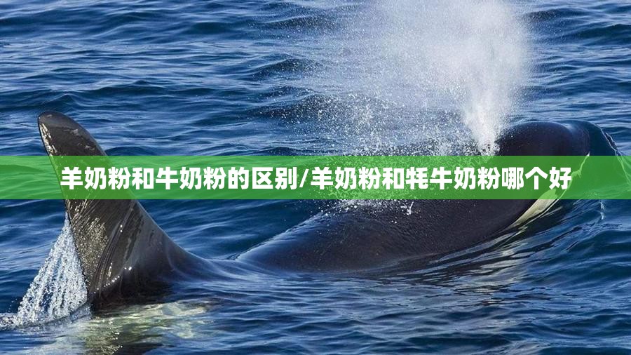 羊奶粉和牛奶粉的区别/羊奶粉和牦牛奶粉哪个好