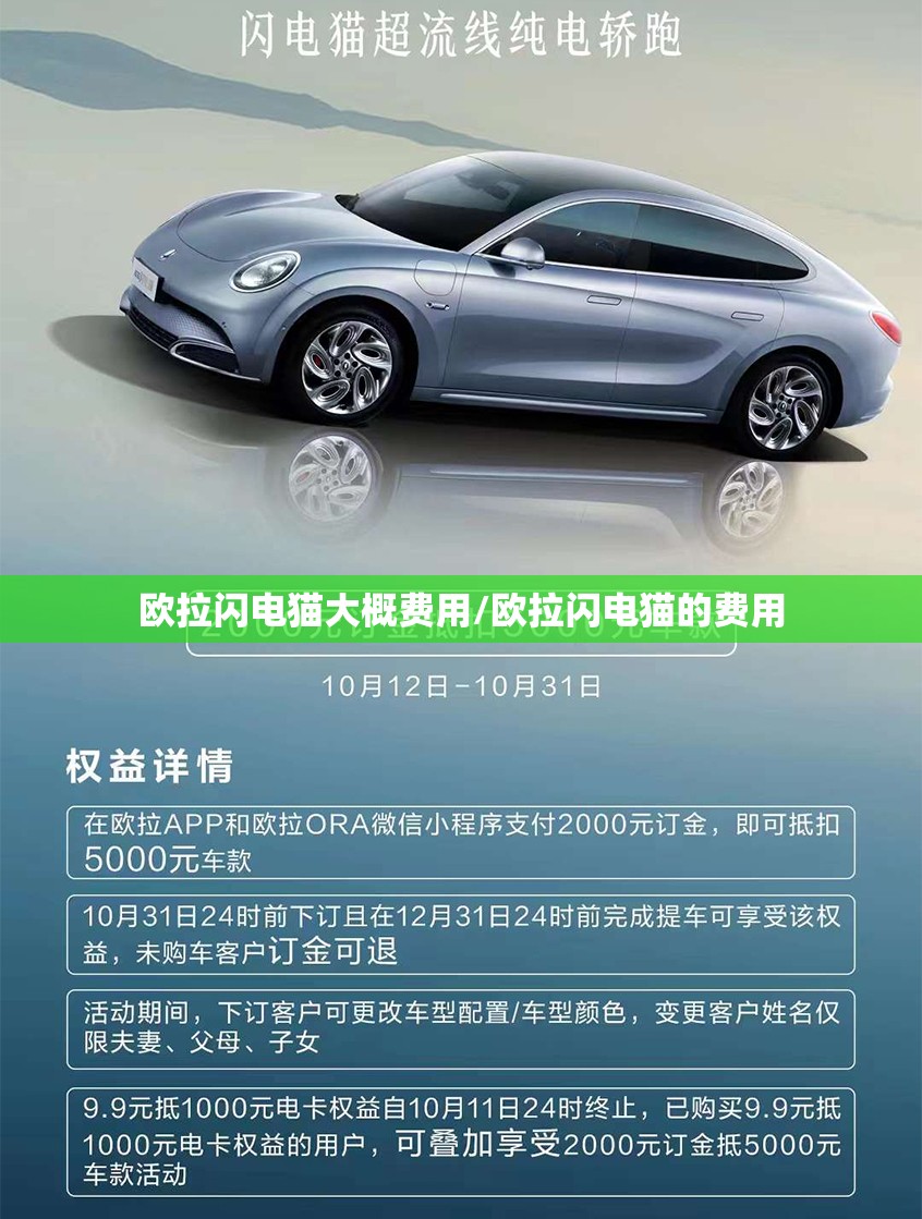 欧拉闪电猫大概费用/欧拉闪电猫的费用 欧拉闪电猫大概费用/欧拉闪电猫的费用