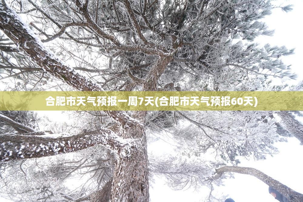 合肥市天气预报一周7天(合肥市天气预报60天) 合肥市天气预报一周7天(合肥市天气预报60天)