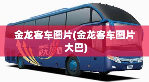 金龙客车图片(金龙客车图片 大巴) 金龙客车图片(金龙客车图片 大巴)