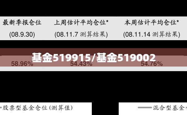 基金519915/基金519002 基金519915/基金519002