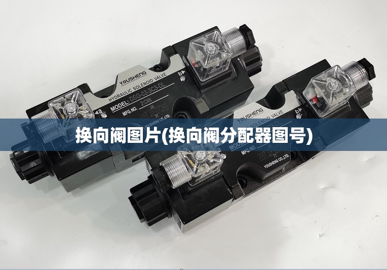 换向阀图片(换向阀分配器图号)