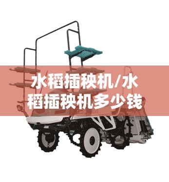 水稻插秧机/水稻插秧机多少钱一台 水稻插秧机/水稻插秧机多少钱一台