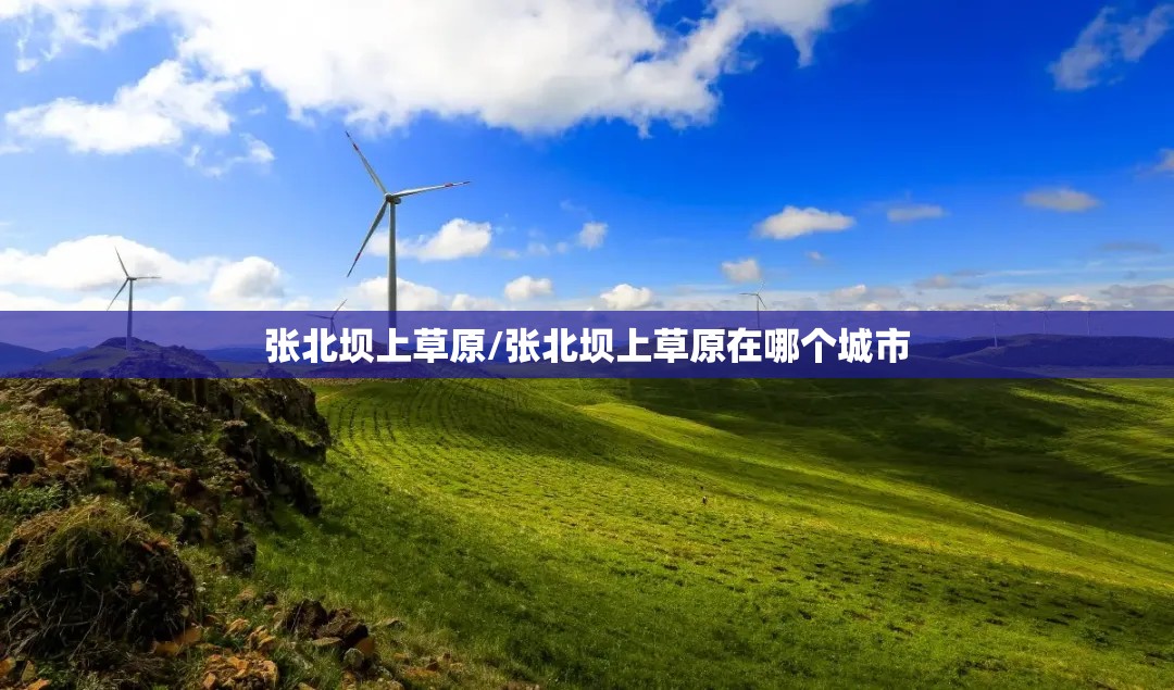 张北坝上草原/张北坝上草原在哪个城市