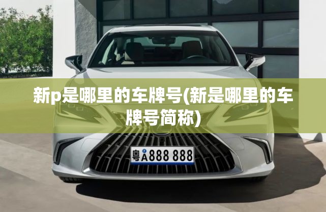 新p是哪里的车牌号(新是哪里的车牌号简称) 新p是哪里的车牌号(新是哪里的车牌号简称)