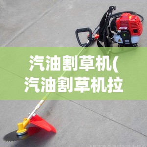 汽油割草机(汽油割草机拉不响) 汽油割草机(汽油割草机拉不响)
