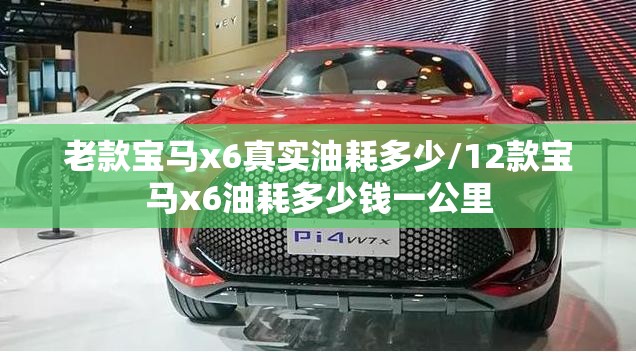 老款宝马x6真实油耗多少/12款宝马x6油耗多少钱一公里