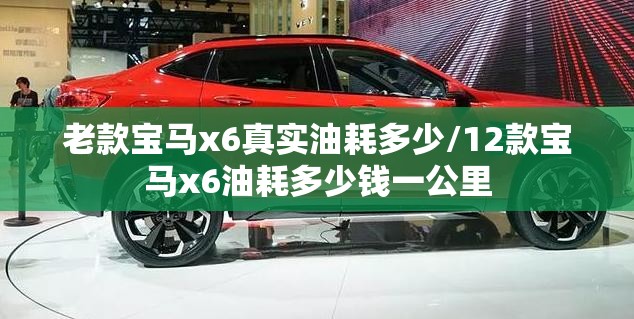 老款宝马x6真实油耗多少/12款宝马x6油耗多少钱一公里