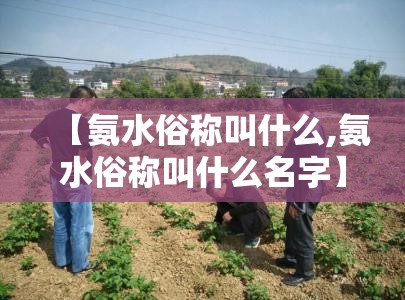【氨水俗称叫什么,氨水俗称叫什么名字】 【氨水俗称叫什么,氨水俗称叫什么名字】